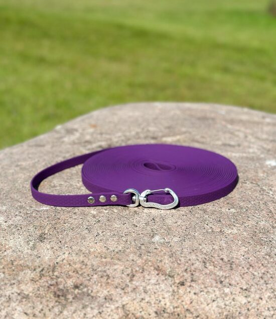 Hexa 15 metri, garā pavada 